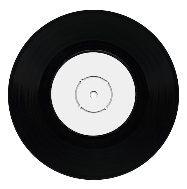 vinyl record icon